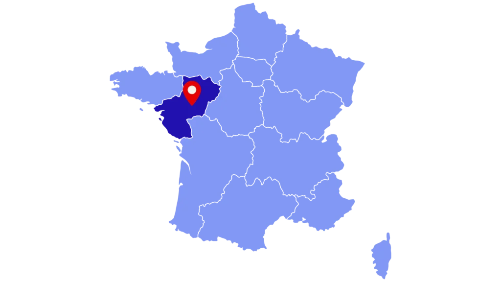 Soutien scolaire à domicile en Pays de la Loire pour enfants DYS et TSLA